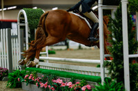 2025 - Haylee - Royal West - Saturday October 18th - 04373