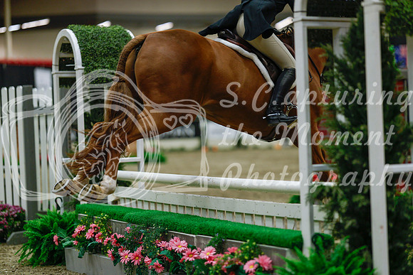 2025 - Haylee - Royal West - Saturday October 18th - 04373