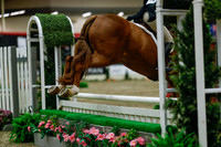 2025 - Haylee - Royal West - Saturday October 18th - 04375