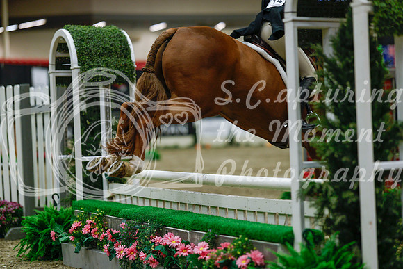 2025 - Haylee - Royal West - Saturday October 18th - 04375