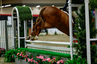 2025 - Haylee - Royal West - Saturday October 18th - 04376