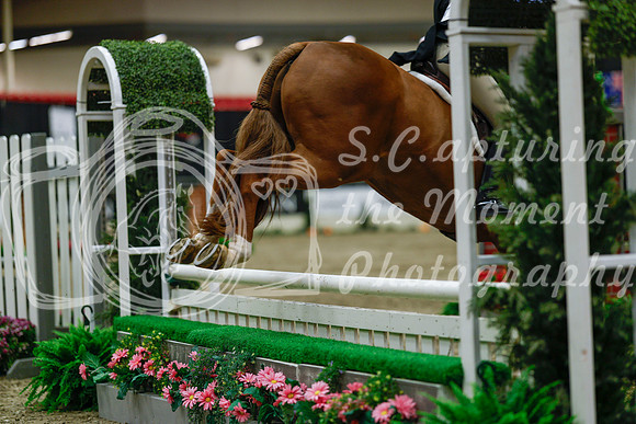 2025 - Haylee - Royal West - Saturday October 18th - 04376