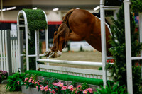 2025 - Haylee - Royal West - Saturday October 18th - 04377