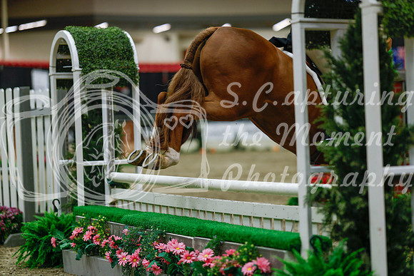 2025 - Haylee - Royal West - Saturday October 18th - 04377