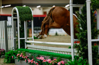 2025 - Haylee - Royal West - Saturday October 18th - 04378