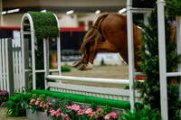 2025 - Haylee - Royal West - Saturday October 18th - 04379