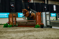 2025 - Haylee - Royal West - Saturday October 18th - 04381