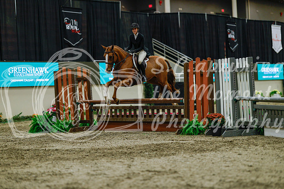 2025 - Haylee - Royal West - Saturday October 18th - 04385