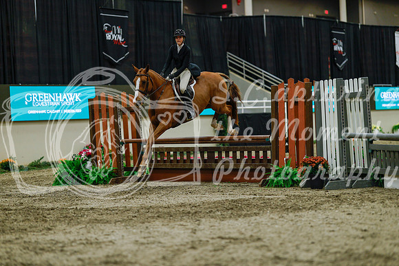 2025 - Haylee - Royal West - Saturday October 18th - 04389