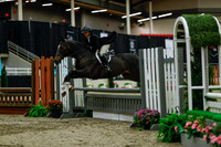 2025 - Haylee - Royal West - Saturday October 18th - 04005