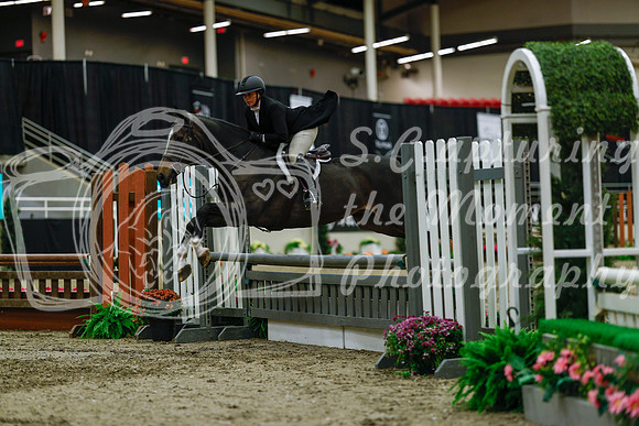 2025 - Haylee - Royal West - Saturday October 18th - 04005
