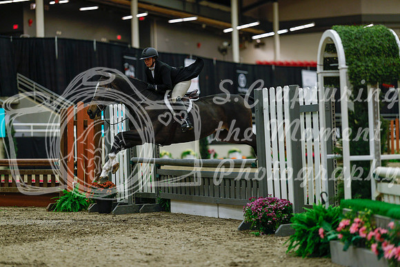 2025 - Haylee - Royal West - Saturday October 18th - 04006