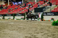 2025 - Haylee - Royal West - Saturday October 18th - 04007
