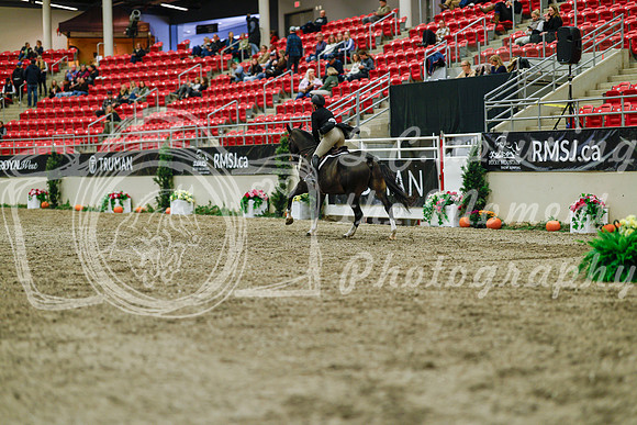 2025 - Haylee - Royal West - Saturday October 18th - 04008