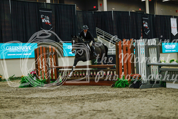 2025 - Haylee - Royal West - Saturday October 18th - 04010