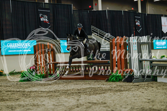 2025 - Haylee - Royal West - Saturday October 18th - 04011