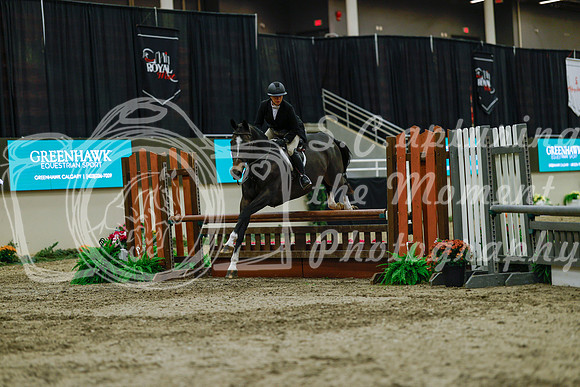 2025 - Haylee - Royal West - Saturday October 18th - 04012