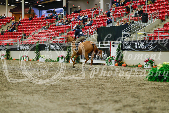 2025 - Haylee - Royal West - Saturday October 18th - 03982