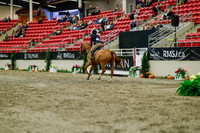 2025 - Haylee - Royal West - Saturday October 18th - 03983