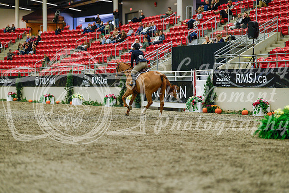 2025 - Haylee - Royal West - Saturday October 18th - 03983