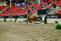 2025 - Haylee - Royal West - Saturday October 18th - 03984