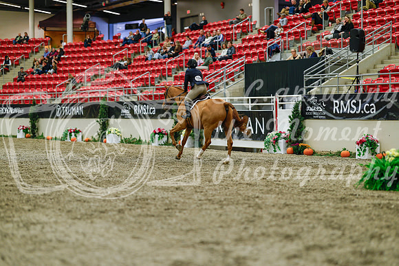 2025 - Haylee - Royal West - Saturday October 18th - 03984