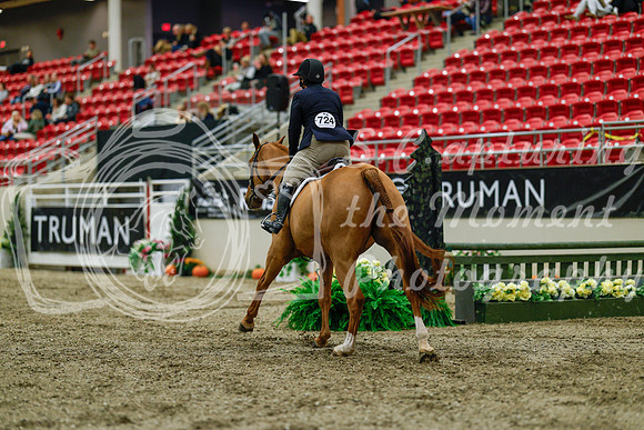 2025 - Haylee - Royal West - Saturday October 18th - 03998