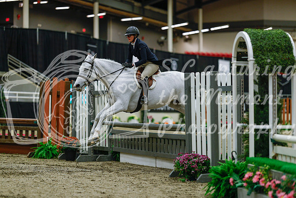 2025 - Haylee - Royal West - Saturday October 18th - 03712