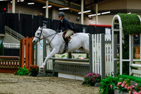 2025 - Haylee - Royal West - Saturday October 18th - 03713
