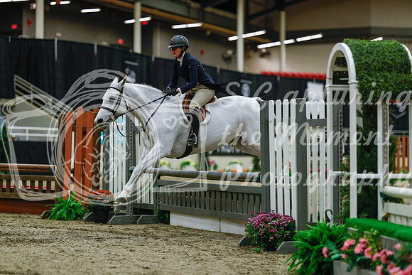 2025 - Haylee - Royal West - Saturday October 18th - 03713