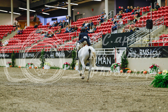 2025 - Haylee - Royal West - Saturday October 18th - 03731
