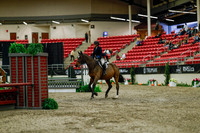 2025 - Haylee - Royal West - Saturday October 18th - 03734