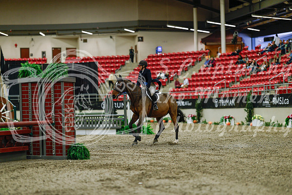 2025 - Haylee - Royal West - Saturday October 18th - 03735