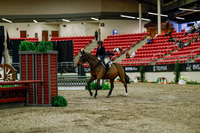 2025 - Haylee - Royal West - Saturday October 18th - 03737