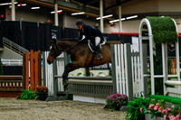 2025 - Haylee - Royal West - Saturday October 18th - 03743