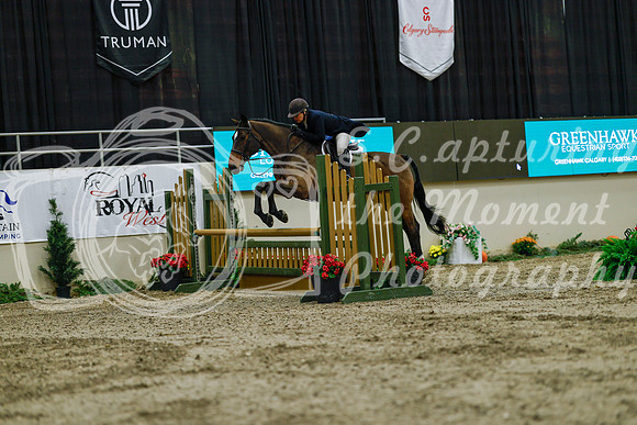 2025 - Haylee - Royal West - Saturday October 18th - 03751