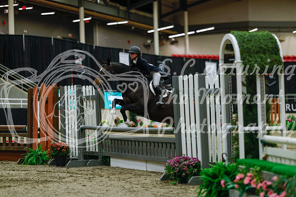 2025 - Haylee - Royal West - Saturday October 18th - 03755