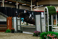 2025 - Haylee - Royal West - Saturday October 18th - 03756