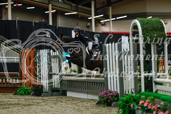 2025 - Haylee - Royal West - Saturday October 18th - 03756