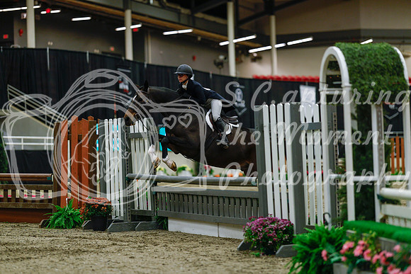 2025 - Haylee - Royal West - Saturday October 18th - 03757