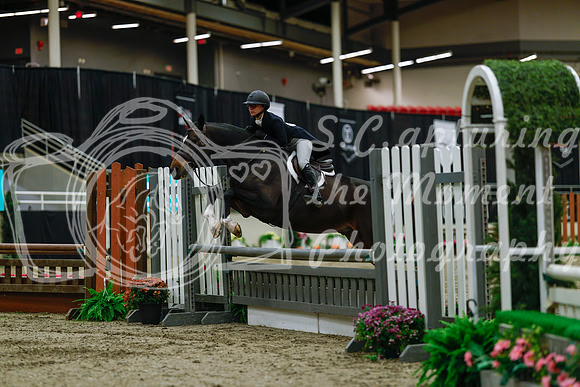 2025 - Haylee - Royal West - Saturday October 18th - 03758