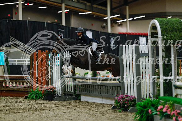 2025 - Haylee - Royal West - Saturday October 18th - 03759
