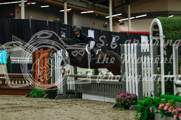 2025 - Haylee - Royal West - Saturday October 18th - 03760