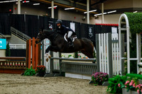 2025 - Haylee - Royal West - Saturday October 18th - 03761
