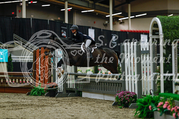 2025 - Haylee - Royal West - Saturday October 18th - 03761
