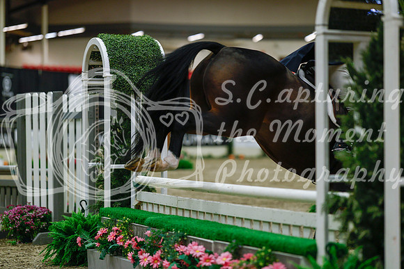 2025 - Haylee - Royal West - Saturday October 18th - 03764