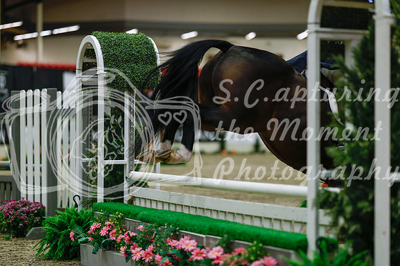 2025 - Haylee - Royal West - Saturday October 18th - 03765