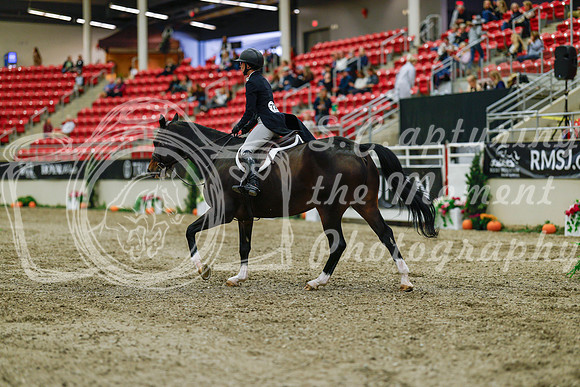 2025 - Haylee - Royal West - Saturday October 18th - 03779