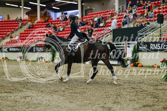 2025 - Haylee - Royal West - Saturday October 18th - 03778
