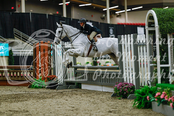 2025 - Haylee - Royal West - Saturday October 18th - 04409